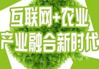 互聯(lián)網(wǎng)+農業(yè)發(fā)展現(xiàn)狀前景分析-互聯(lián)網(wǎng)對我國農業(yè)的影響-KIA MOS管
